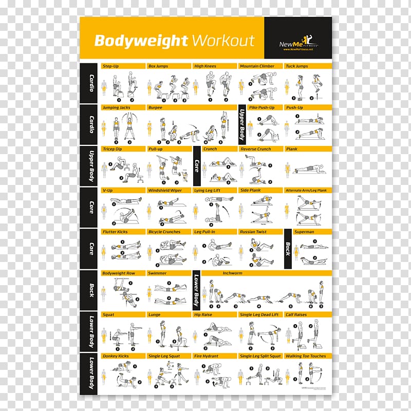 Bodyweight exercise Personal trainer Fitness Centre Weight training, laminated transparent background PNG clipart