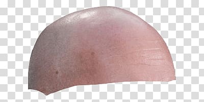 human skin , Large Bald Head Snapchat Filter transparent background PNG clipart