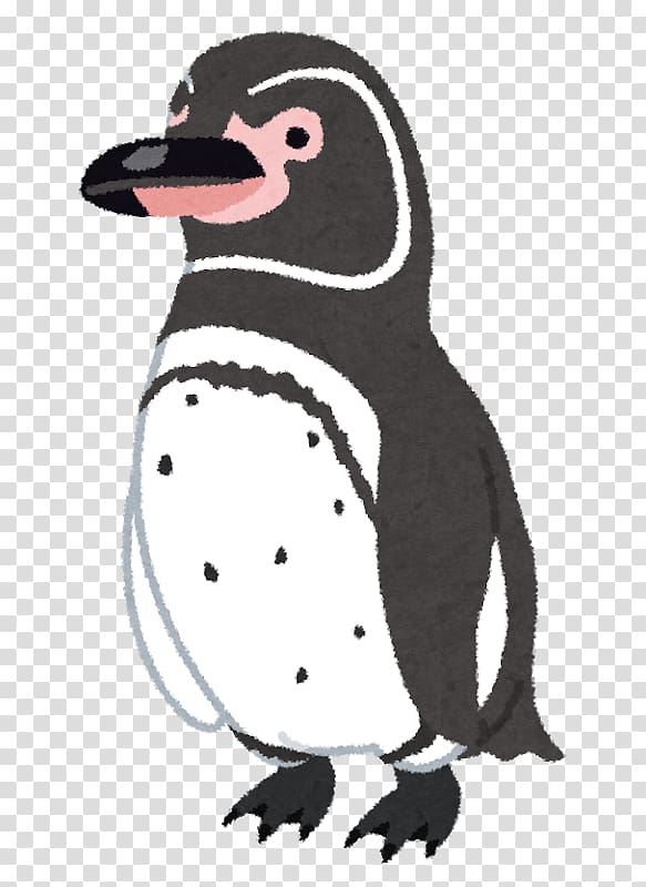 Galapagos penguin New Year card Magellanic penguin, Galapagos Penguin transparent background PNG clipart