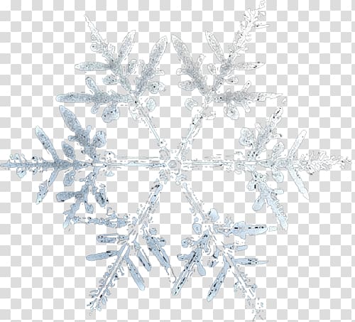Snowflake Adobe Fireworks, Snowflake transparent background PNG clipart