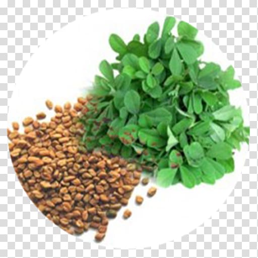 Fenugreek Indian cuisine Kadhi Leaf Herb, Leaf transparent background PNG clipart