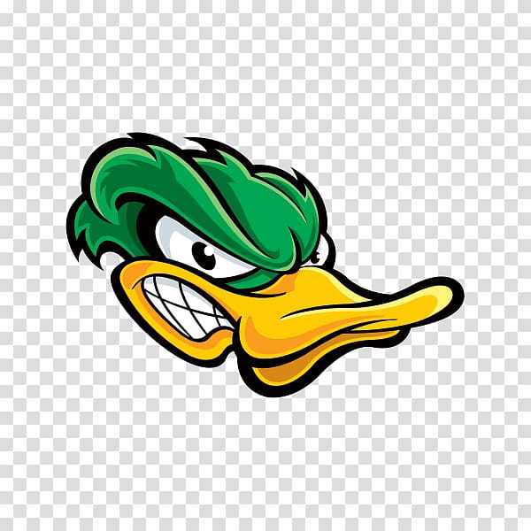 Donald Duck Mallard American Pekin, duck transparent background PNG clipart