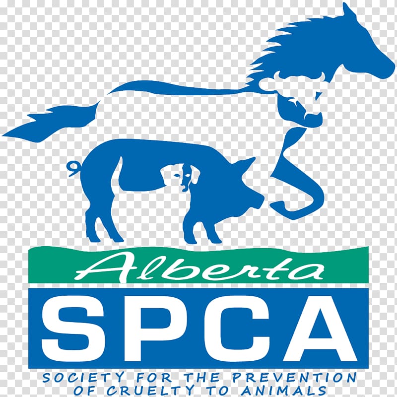 Alberta SPCA Society for the Prevention of Cruelty to Animals Dog Humane society Pet, Dog transparent background PNG clipart