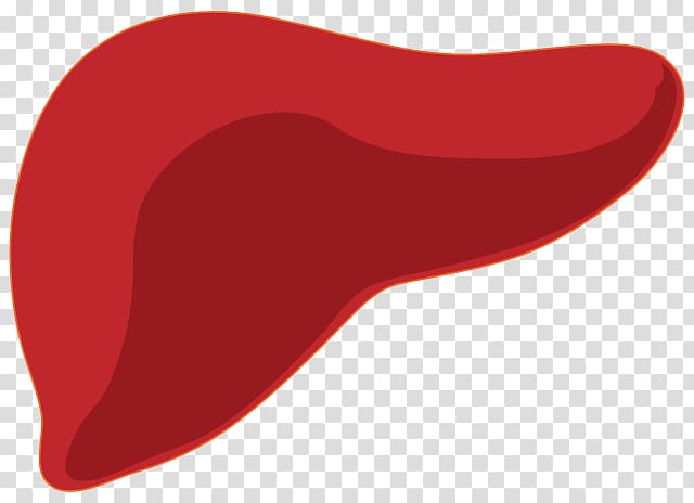 Organ Fatty liver Disease Health, liver transparent background PNG clipart