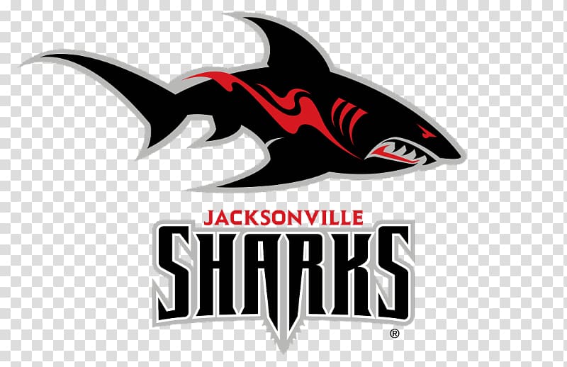 Jacksonville Sharks Logo American football Great white shark, shark transparent background PNG clipart