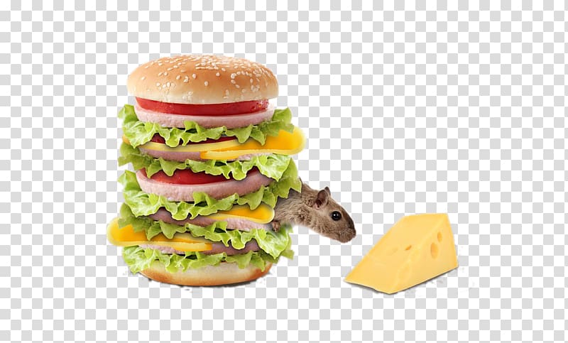 Riddle Mind Situation puzzle Agility Game, Mouse eating cheese transparent background PNG clipart