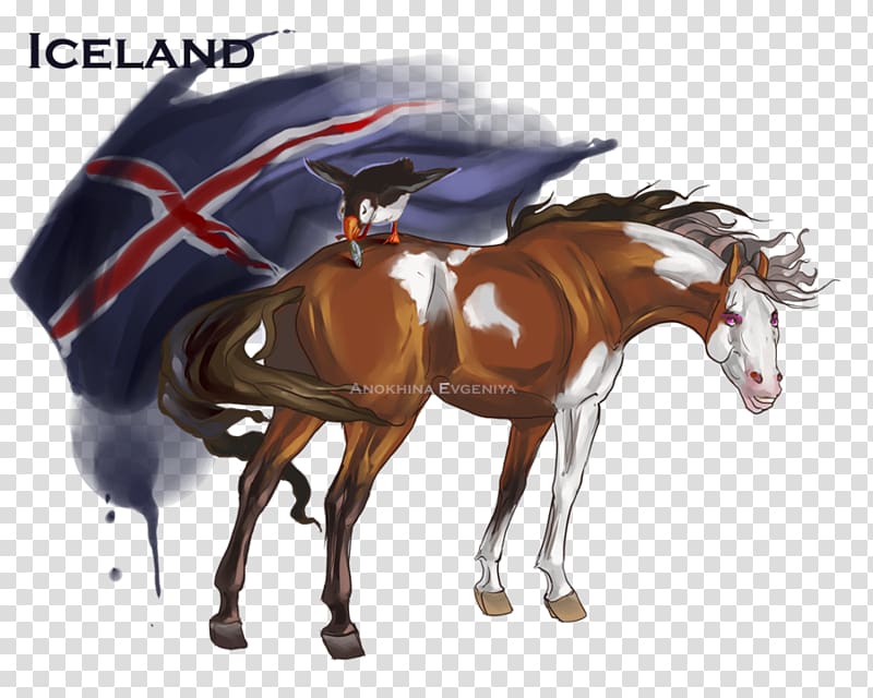 Stallion Mustang Pony Icelandic horse Hetalia: Axis Powers, paintings icelandic pony transparent background PNG clipart