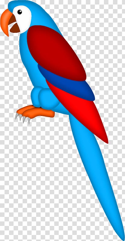 Macaw Bird Drawing True parrot , Bird transparent background PNG clipart