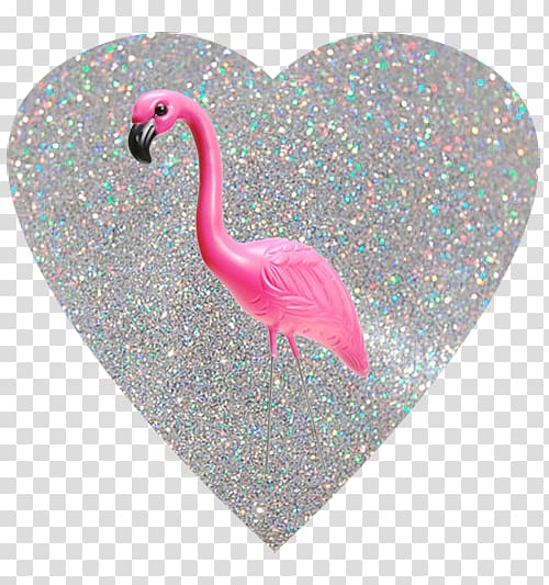 Greater flamingo Bird We Heart It Tumblr, flamingo transparent background PNG clipart