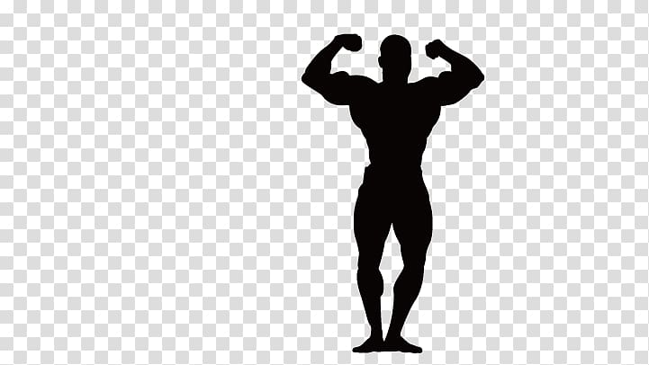 Bodybuilding Physical fitness Fitness Centre Olympic weightlifting, Robust man transparent background PNG clipart