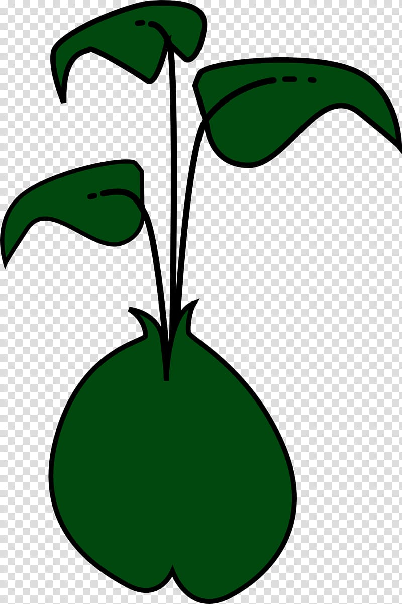 Sprouting Green bean , plant transparent background PNG clipart