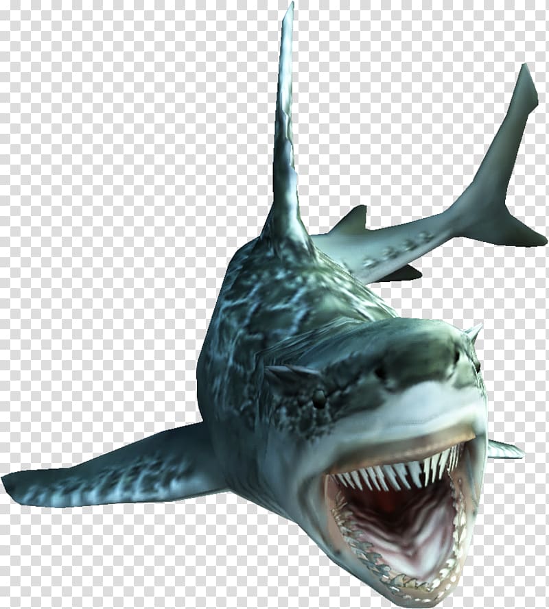 Monster Hunter Tri Monster Hunter 4 Ultimate Monster Hunter 3 Ultimate Fish, sharks transparent background PNG clipart