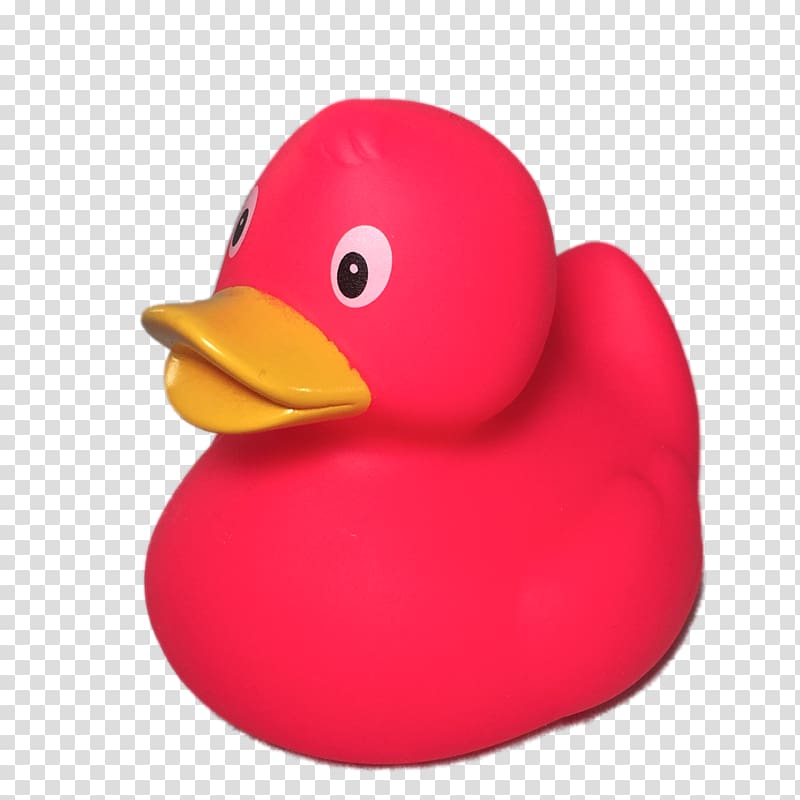 Rubber duck Toy Bathtub Natural rubber, jemima puddle duck transparent background PNG clipart