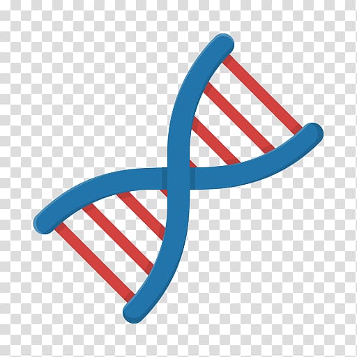 DNA Symbol Nucleic acid double helix Computer Icons, dna transparent background PNG clipart