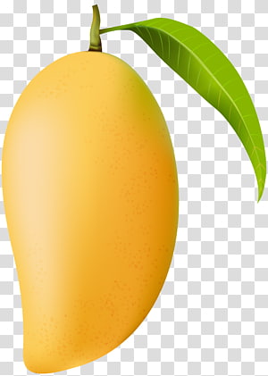 Rotten Mango Fruit Isolated, Background, Bad, Black PNG Transparent Image  and Clipart for Free Download