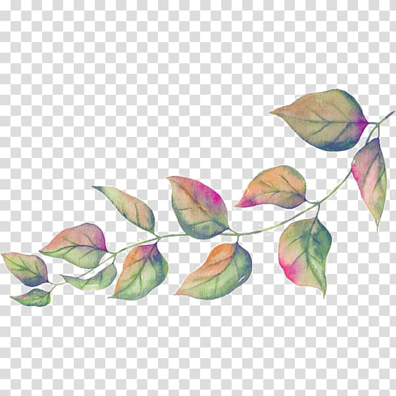 green and pink leave illustration, Leaf Illustration, Green Leaves transparent background PNG clipart