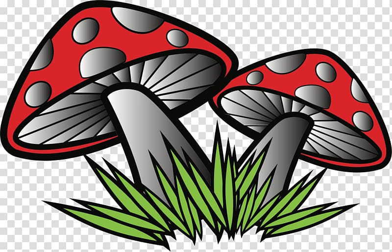 Mushroom Fungus Russula emetica , poisonous mushrooms transparent background PNG clipart