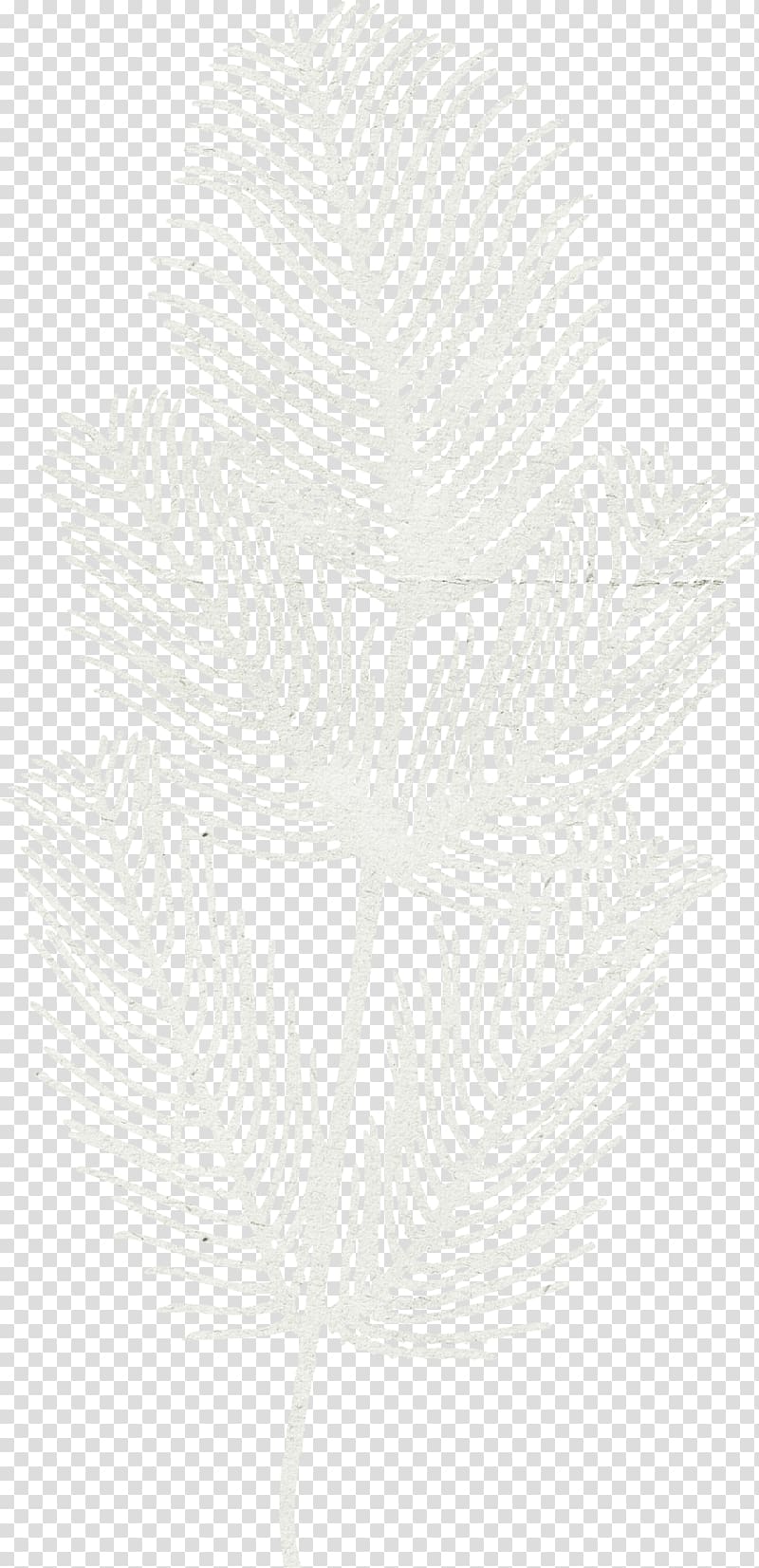 White Black Pattern, Feather fluff transparent background PNG clipart