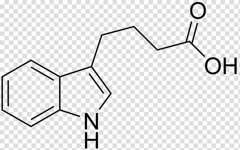 Indole-3-acetic acid Indole-3-butyric acid Auxin Plant hormone, acid transparent background PNG clipart