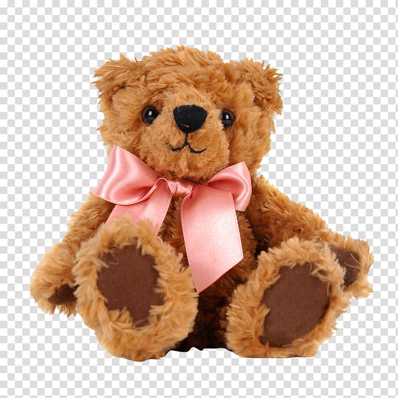 South Korea Valentines Day Gift Greeting card, Cute teddy bear transparent background PNG clipart