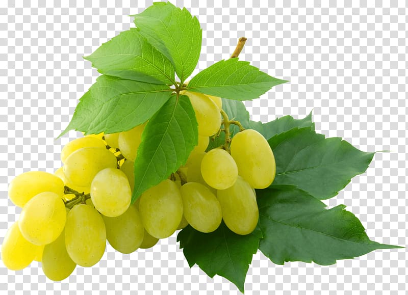 yellow grapes illustration, White Grape transparent background PNG clipart