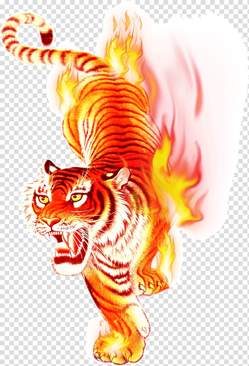 tiger flame transparent background PNG clipart