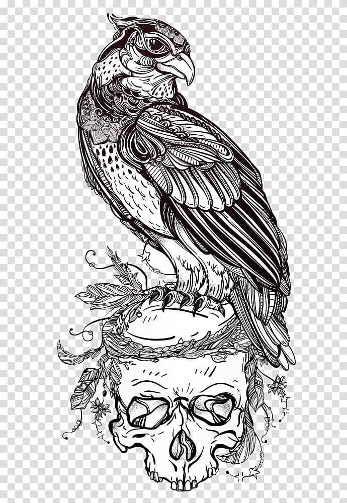 Bird of prey Owl Drawing, Eagle on Skull transparent background PNG clipart