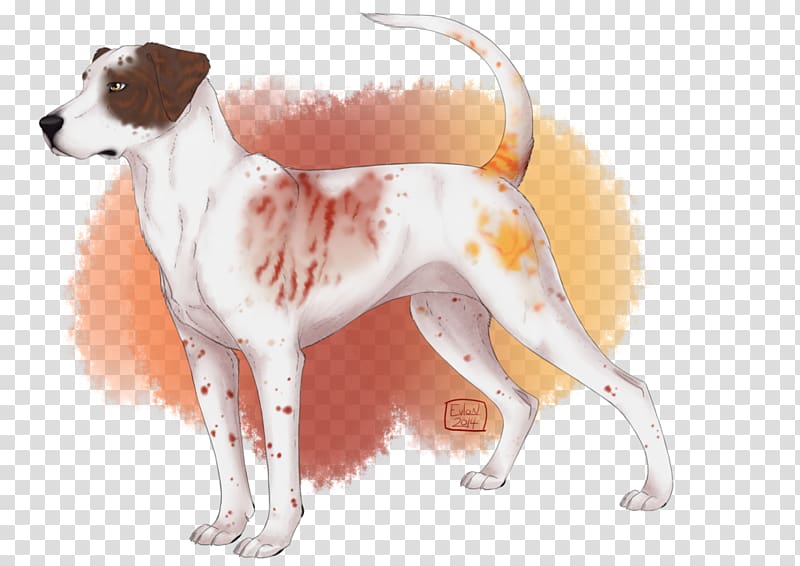 English Foxhound Dog breed American Foxhound Harrier Treeing Walker Coonhound, mean dog transparent background PNG clipart