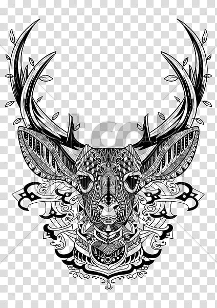 White-tailed deer Adult Coloring Book: Stress Relieving Patterns Moose, reindeer transparent background PNG clipart