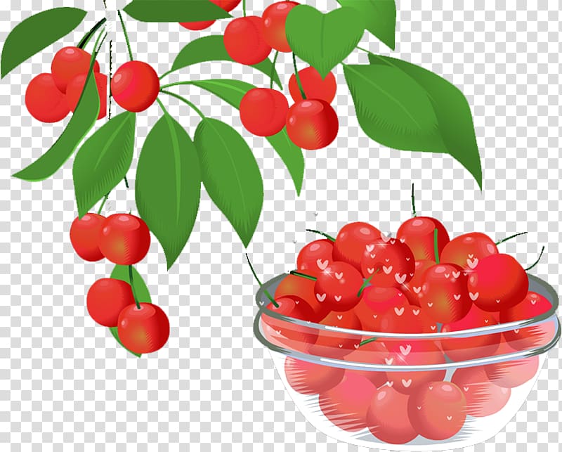 Barbados Cherry Lingonberry Cranberry Food, Cherry transparent background PNG clipart