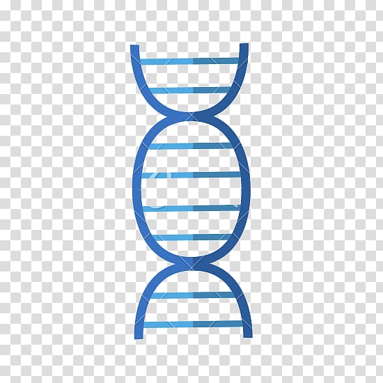 DNA Computer Icons, DNA transparent background PNG clipart