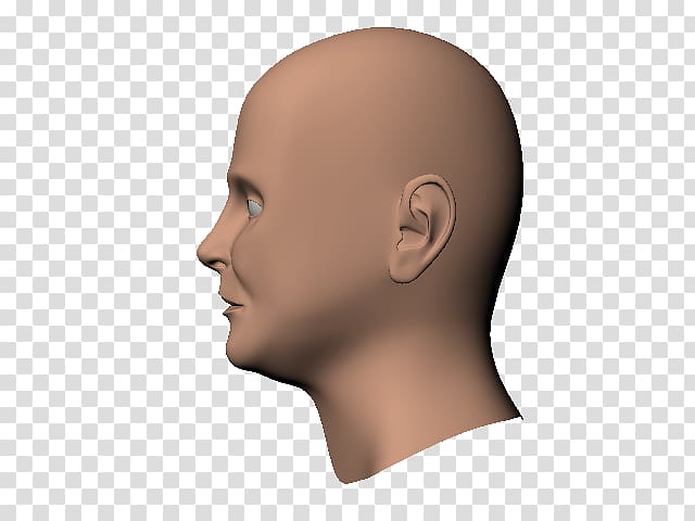 Chin Human head Cheek Nose, Head human transparent background PNG clipart