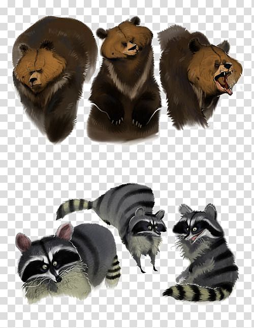Raccoon Model sheet Bear Drawing Sketch, Bear and Raccoon transparent background PNG clipart