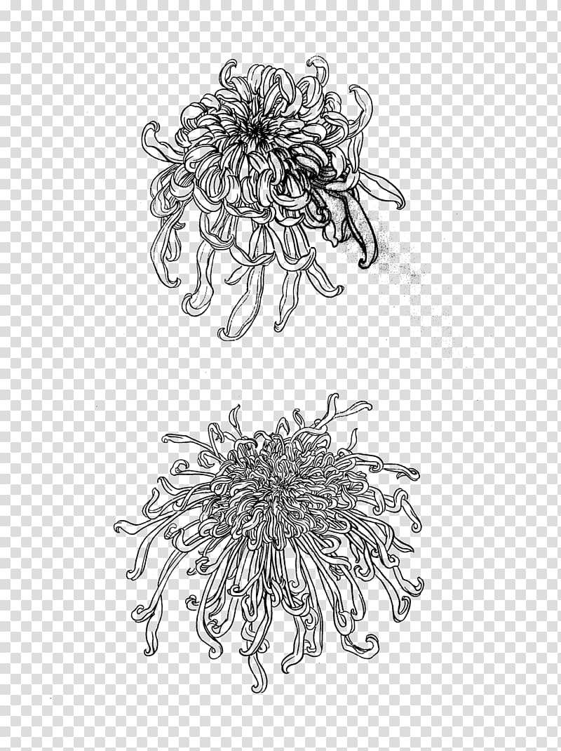 u83cau82b1u56feu8c31 Gongbi Chrysanthemum Four Gentlemen u65b0u6d6au535au5ba2, chrysanthemum transparent background PNG clipart