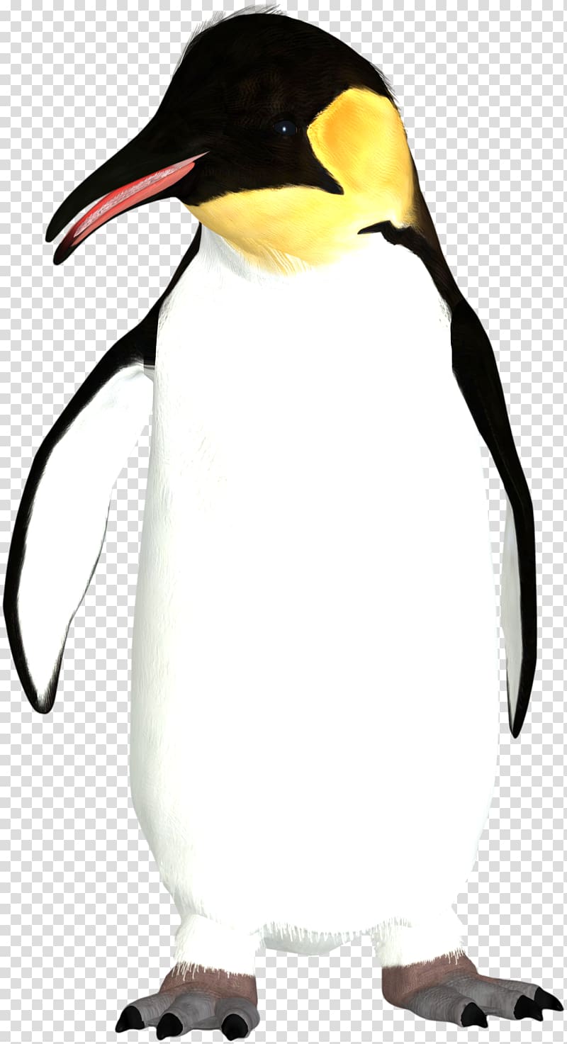 King penguin Icon, penguin transparent background PNG clipart