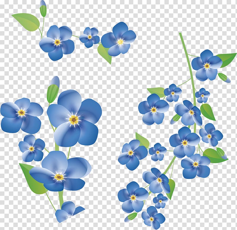 blue forget-me-not flowers art, Flower , forget me not transparent background PNG clipart