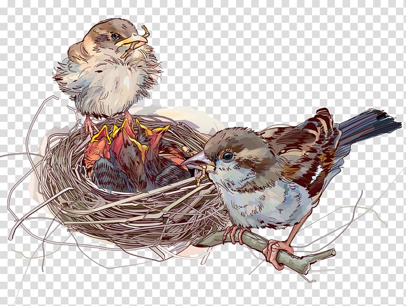 Illustration, bird nest transparent background PNG clipart
