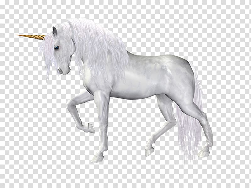 Unicorn Mane Horse, unicorn transparent background PNG clipart