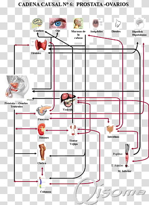 Drawing Line Point, line transparent background PNG clipart thumbnail