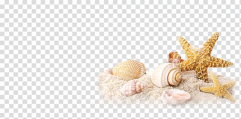Sand Beach house Resort, sand transparent background PNG clipart