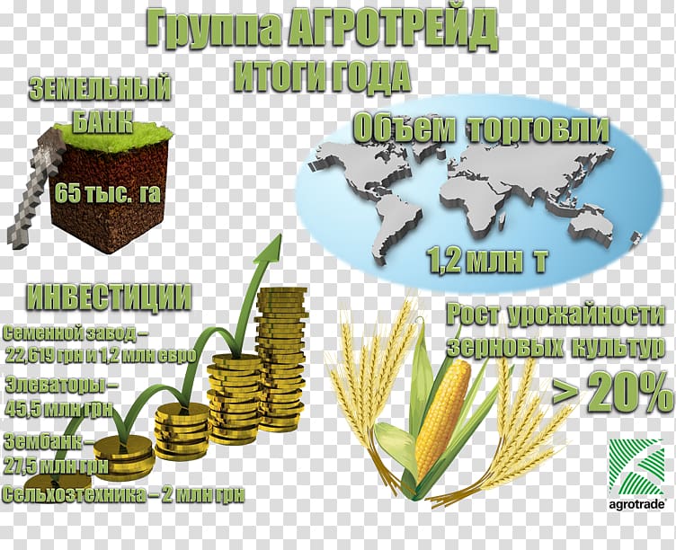 E.T.F. Exchange traded funds. Quaderni di finanza Exchange-traded fund Exchange-traded product Income approach Grasses, Infografía transparent background PNG clipart