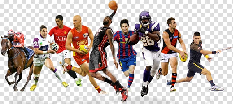 professional sports leagues by attendance clipart