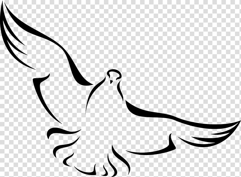 black bird illustration, Columbidae Bird Domestic pigeon Doves as symbols, baptism transparent background PNG clipart