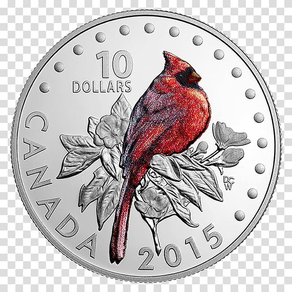 Canada Northern cardinal Silver coin Songbird, Canada transparent background PNG clipart