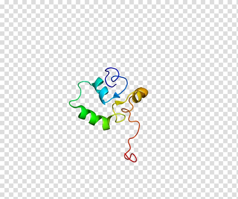 Protein Data Bank Exome sequencing Protein structure, others transparent background PNG clipart