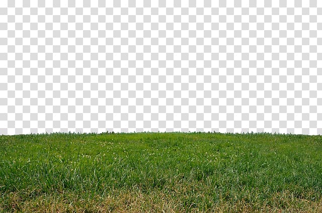 Lawn Garden , others transparent background PNG clipart