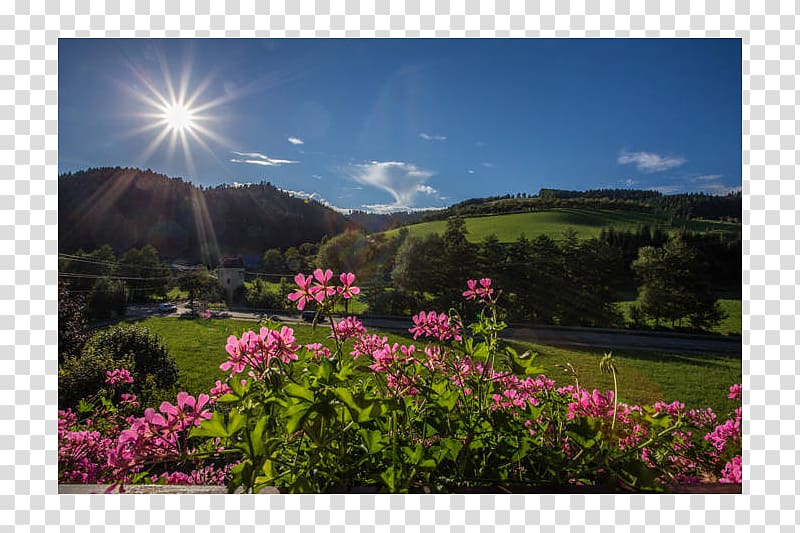 Botanical garden Meadow Mount Scenery Wildflower, Oberschwaben Tourismus Gmbh transparent background PNG clipart