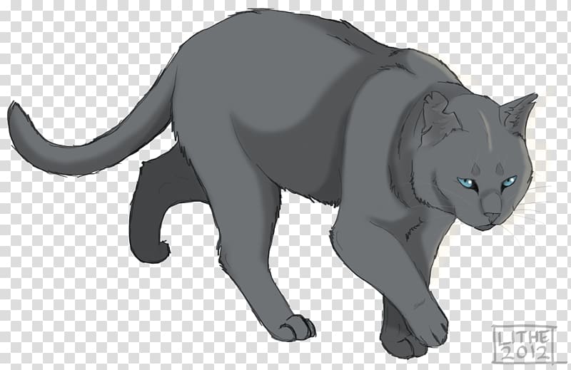 Korat Whiskers Drawing Mistystar Stonefur, Amber stone transparent background PNG clipart