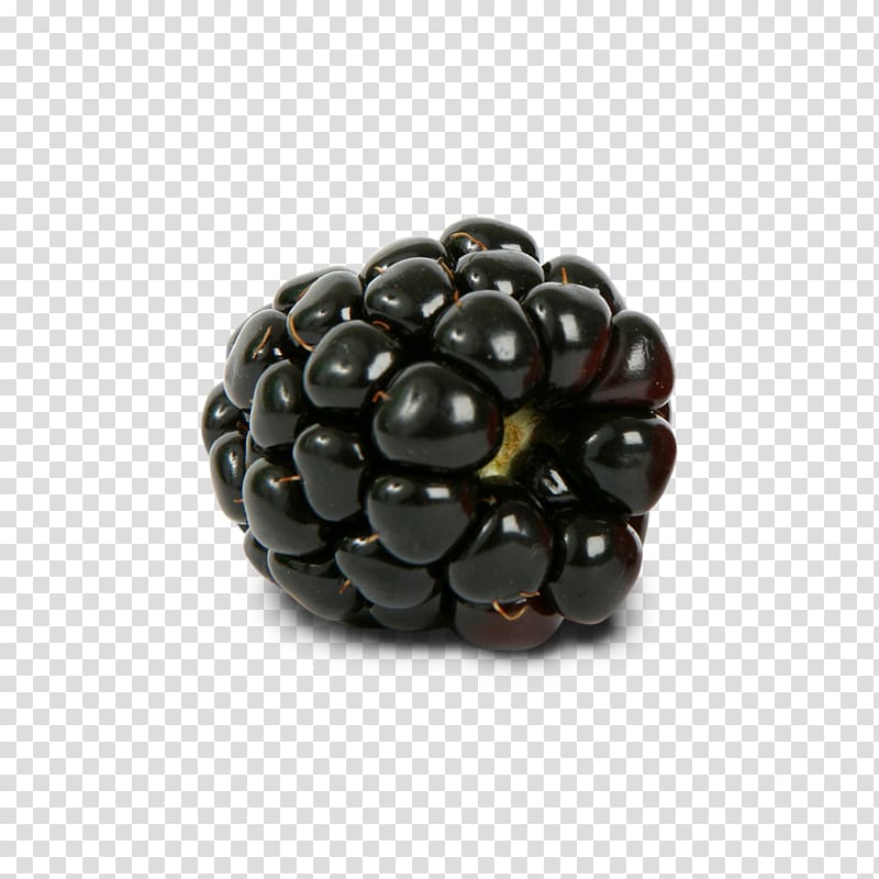 Blackberry transparent background PNG clipart