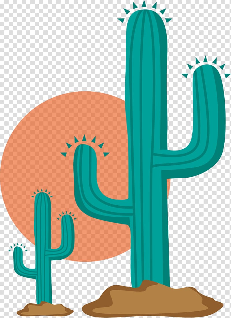 green cactus plant illustration, Cactaceae , cactus transparent background PNG clipart